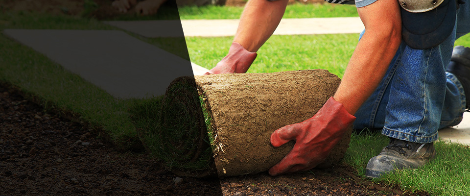 Mount Carmel Landscapers